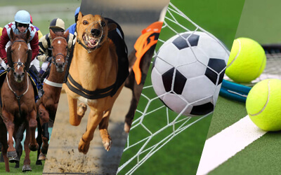 Sports Betting